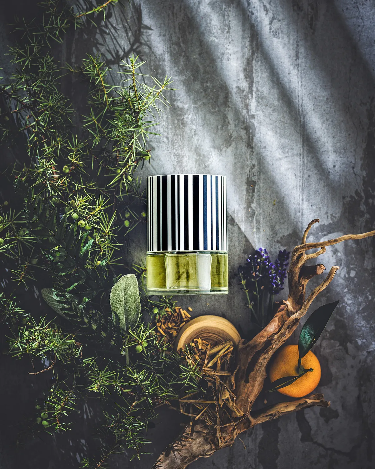 N.C.P. Olfactives 401 Lavender & Juniper parfume 50 ml