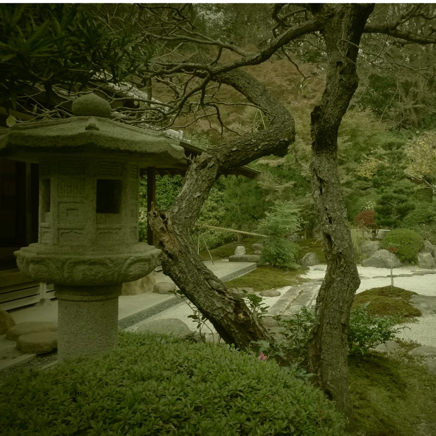Florascent Voyage à Kyoto duftprøve grøn
