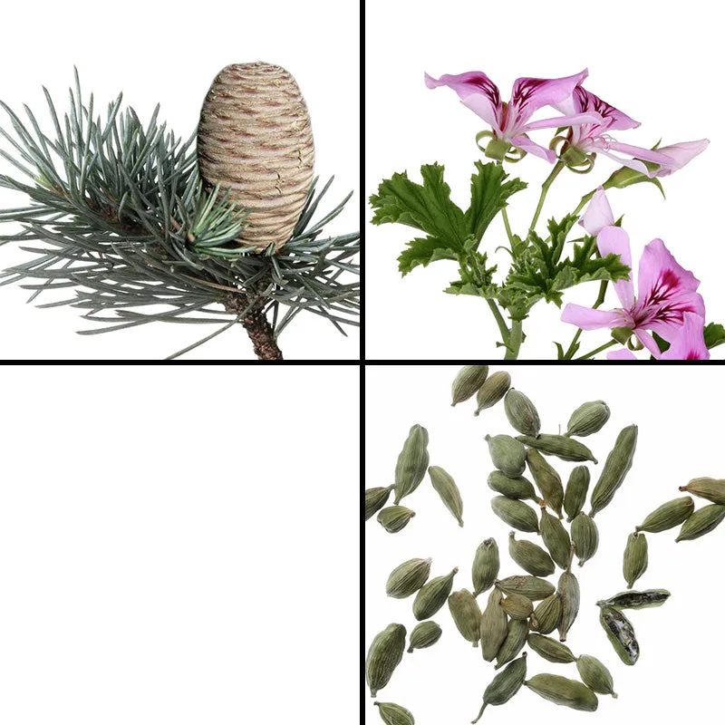 Florascent Power Up aromaspray opkvikkende