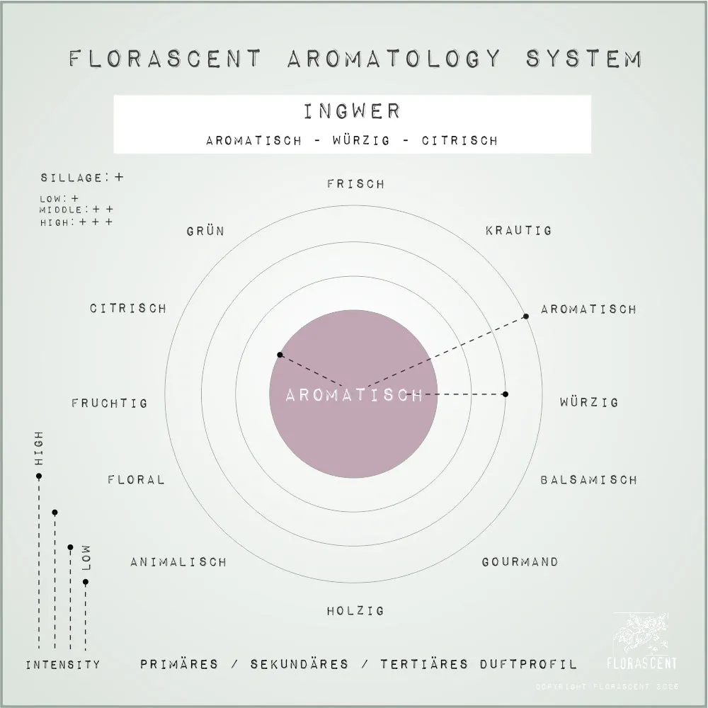 Florascent Apothecary Ingwer aromaspray varm ingefær