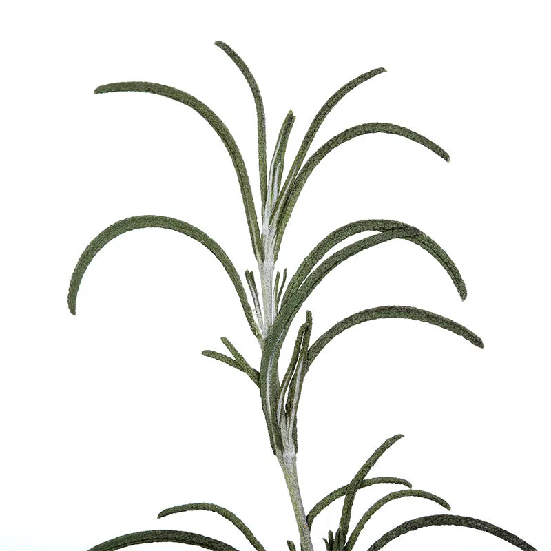Florascent Apothecary Rosmarin aromaspray frisk urt
