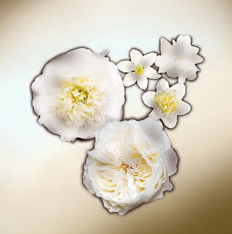 Keiko Mecheri White Petals parfume 100 ml blomst