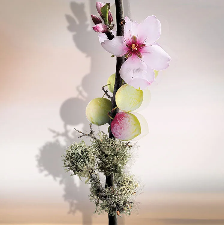 Keiko Mecheri Umé parfume 100 ml japansk blomme