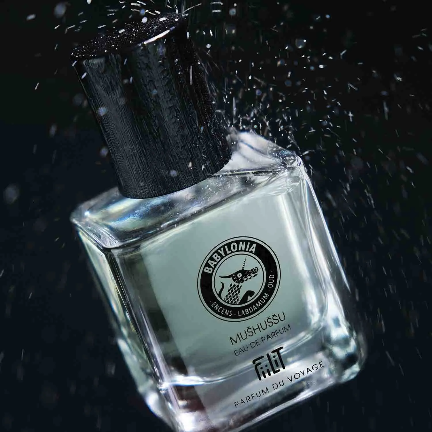 FiiLit Mushussu Babylonia eau de parfum 50 ml – oud