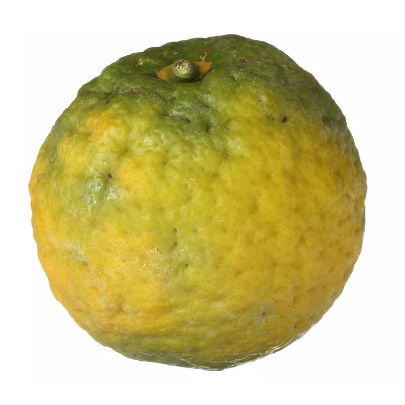 Florascent Bergamotte aroma spray citrus-frisk
