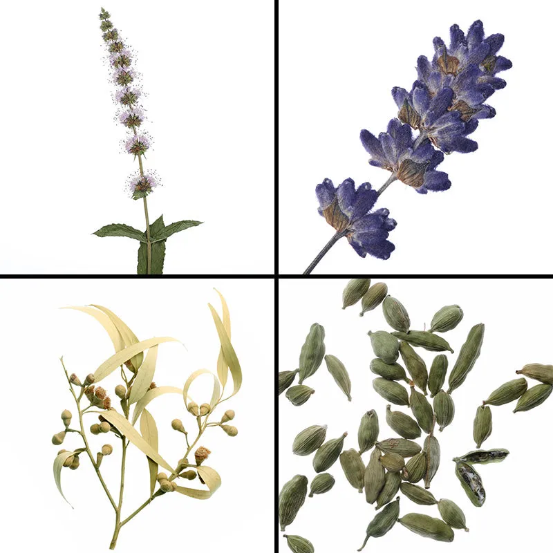 Florascent Headache Master aromaspray pebermynte