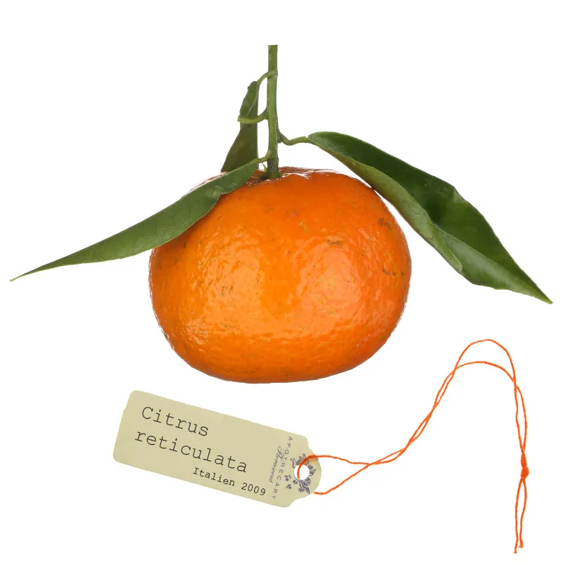 Florascent Apothecary Mandarine aromaspray citrus