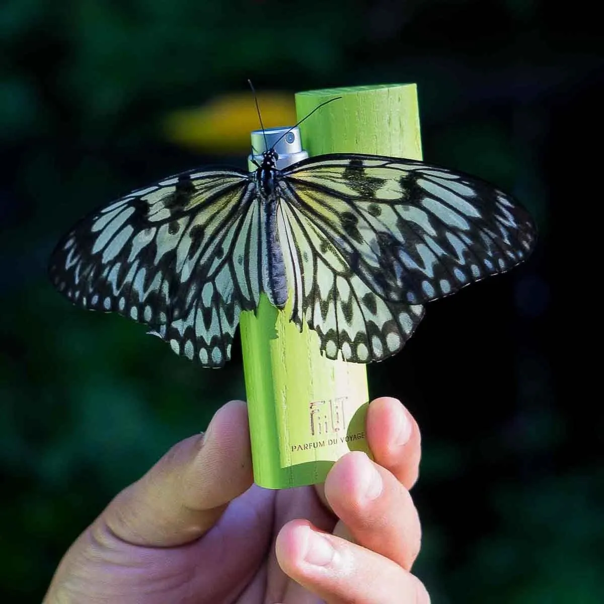 FiiLit Saudade Amazonia eau de parfum 50 ml – maracuja