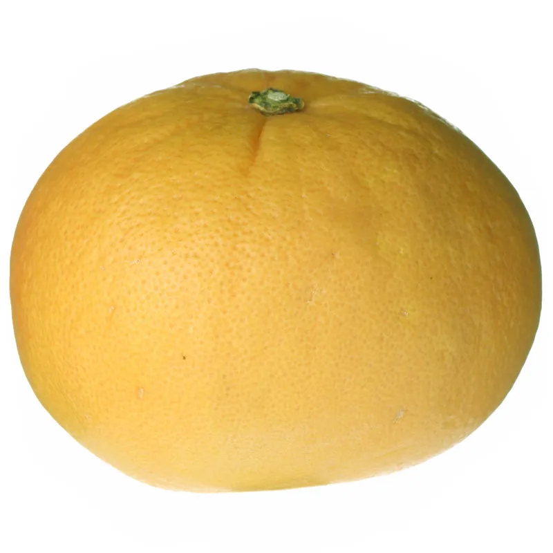 Florascent Apothecary Grapefruit aromaspray citrus
