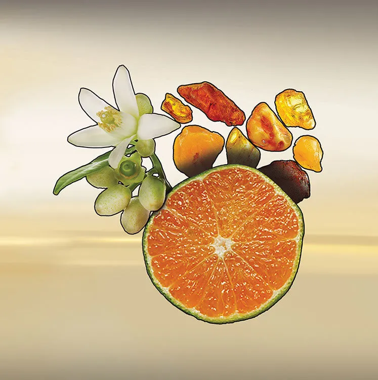 Keiko Mecheri Tarifa parfume 100 ml citrus