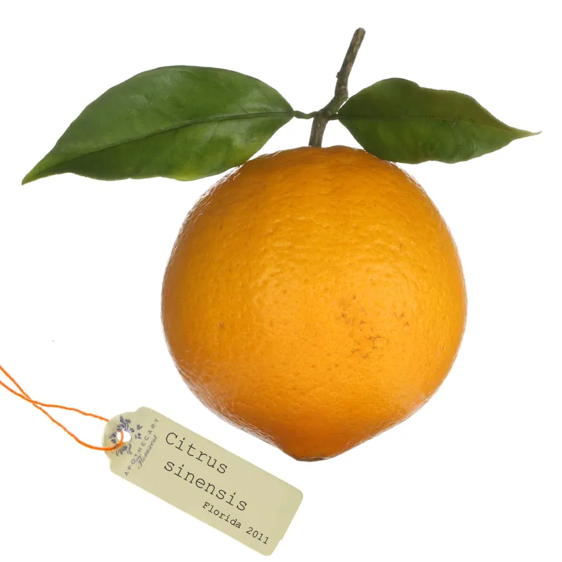 Florascent Apothecary Orange Sød Aromaspray sød citrus