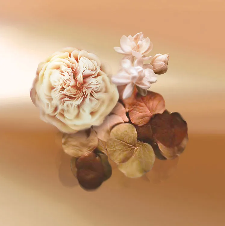 Keiko Mecheri Patchoulissime parfume 100 ml rose patchouli