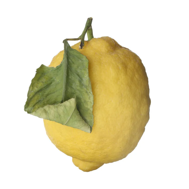 Florascent Zitrone aromaspray citrus frisk