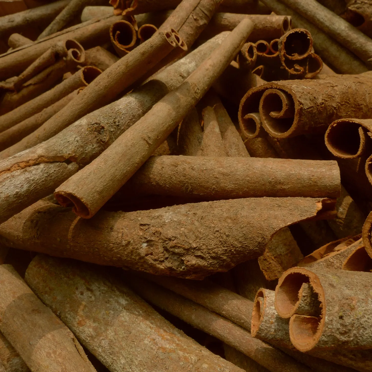 Florascent Cinnamomum Verum rumduft kanel appelsin