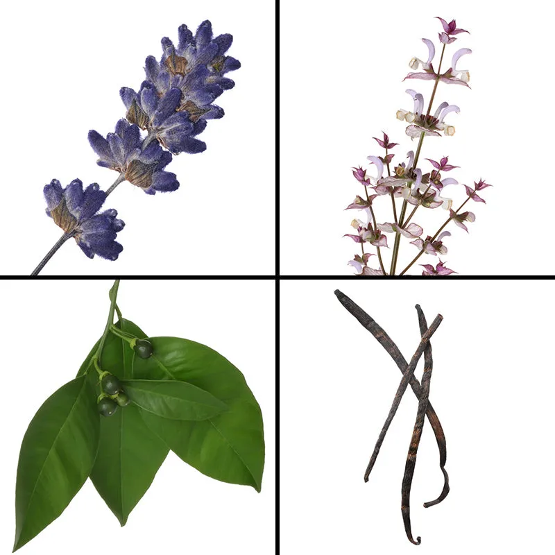Florascent Never Sleepless aromaspray lavendel