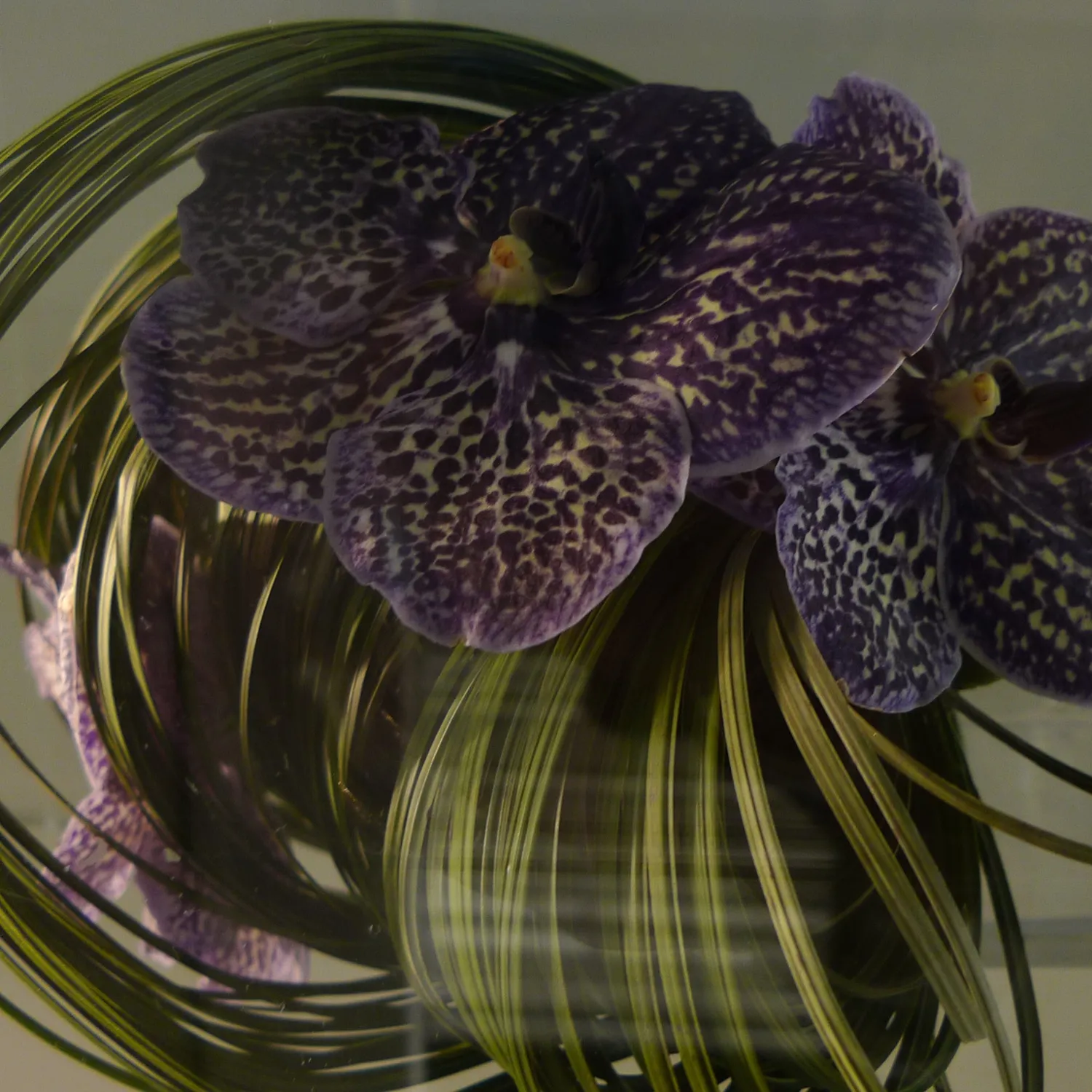Florascent Les Exclusifs Chabana parfume duftprøve te