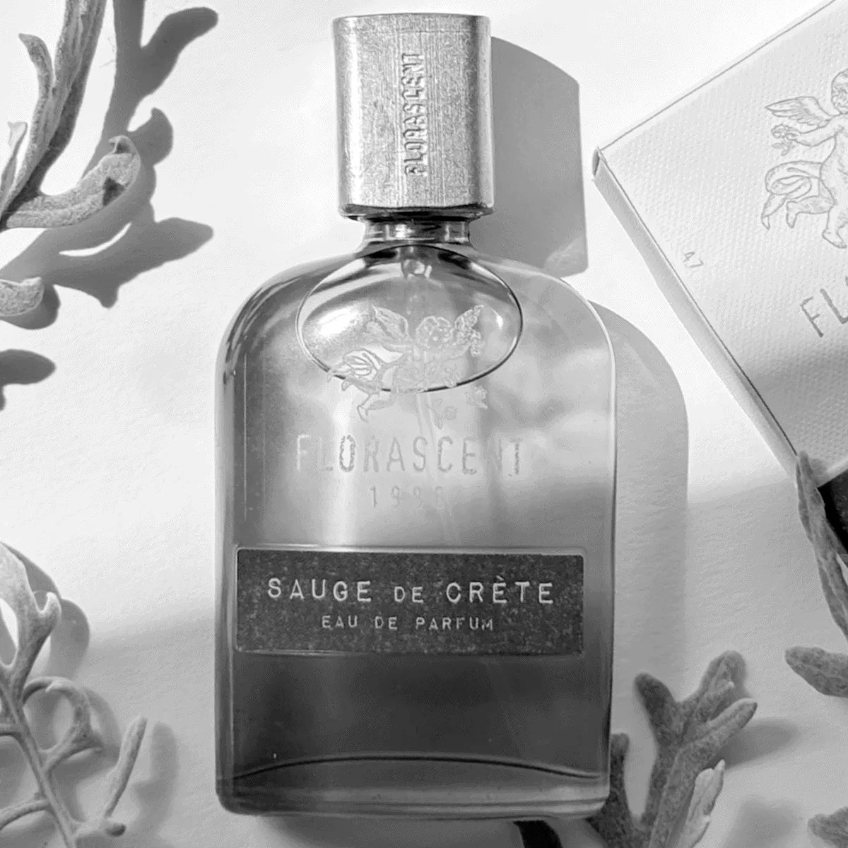 Florascent Sauge de Crête edp duftprøve krydret