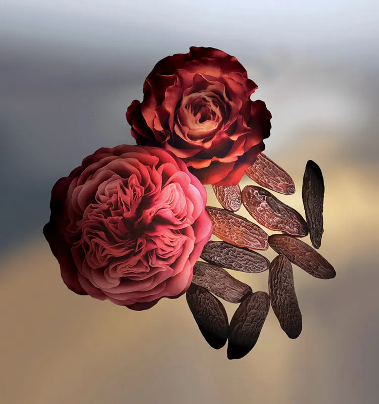 Keiko Mecheri Bal de Roses eau de parfum 100 ml majrose